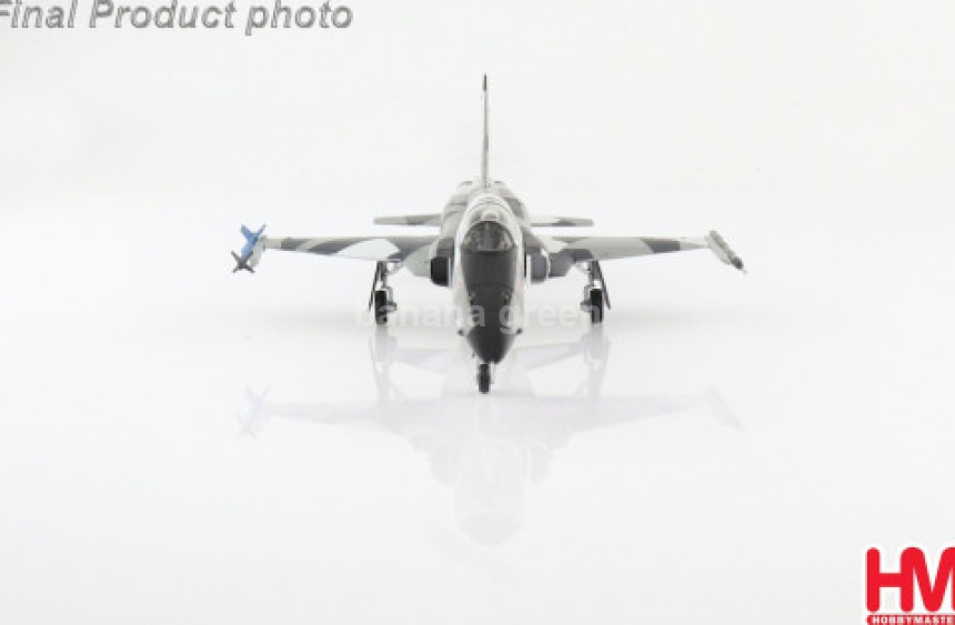 HM 하비마스터 타이거2 F-5N 전투기 모형 1/72