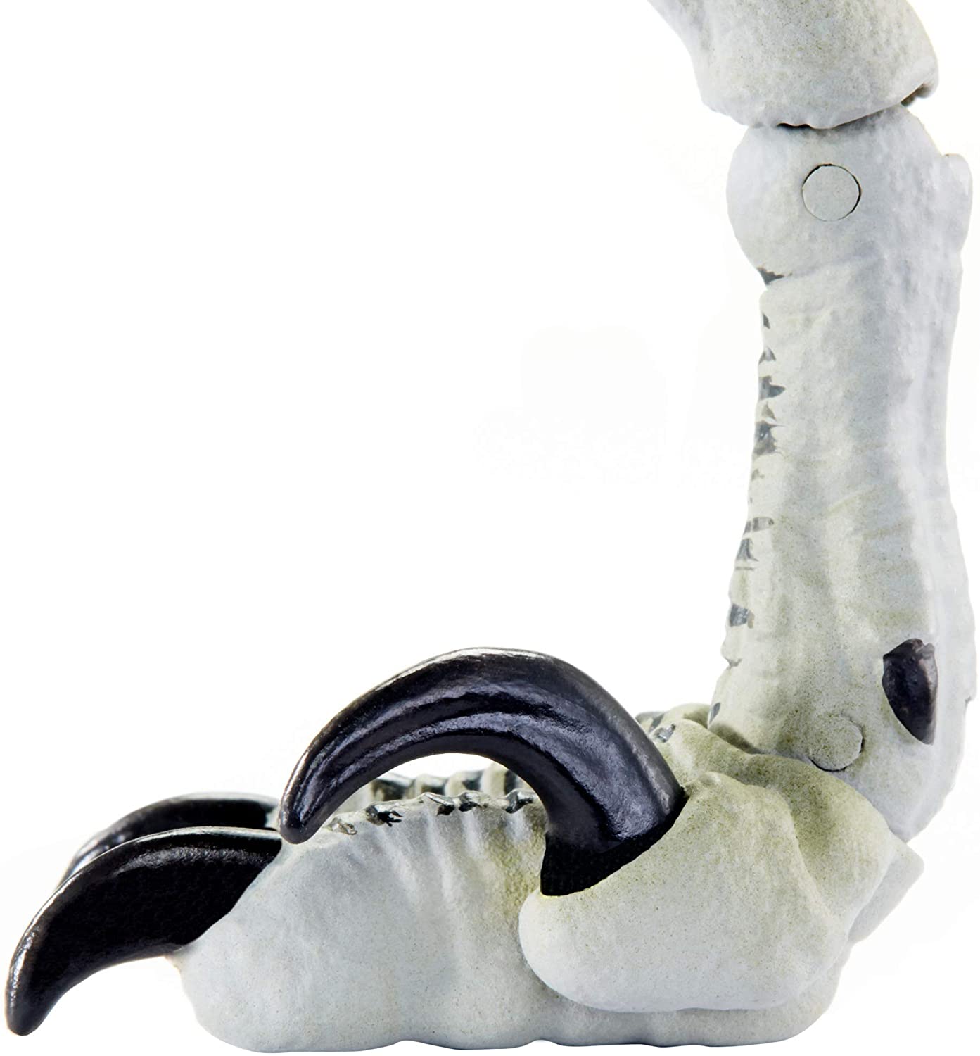 (2020 NEW) 쥬라기월드 앰버콜렉션 벨로시랩터 찰리 피규어