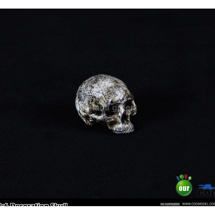 COOMODEL 쿠모델 OUR50006 1/6 해골 스켈레톤
