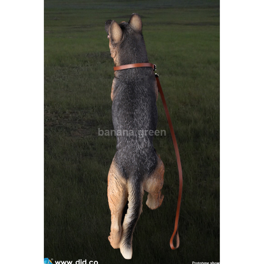 DID AS003 1/6 독일 세퍼트 경찰견