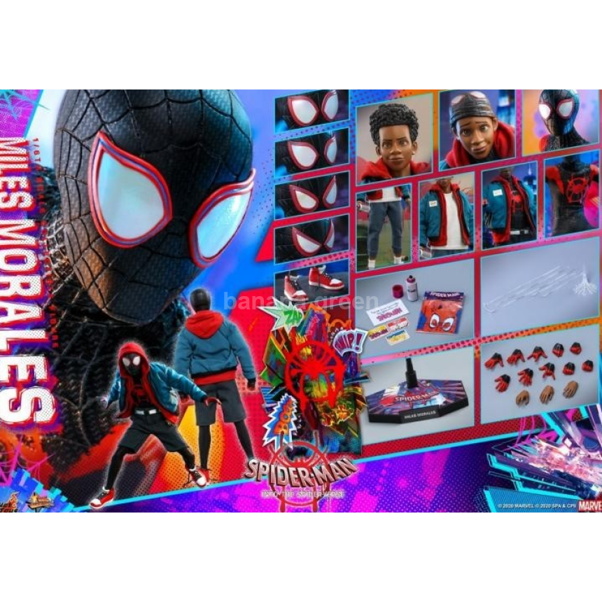 HOTTOYS MMS567 핫토이 스파이더맨 뉴 유니버스 마일즈 모랄레스 피규어 1/6