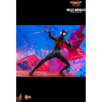 핫토이 HOTTOYS MMS567 스파이더맨 뉴유니버스 1/6 마일즈모랄레스