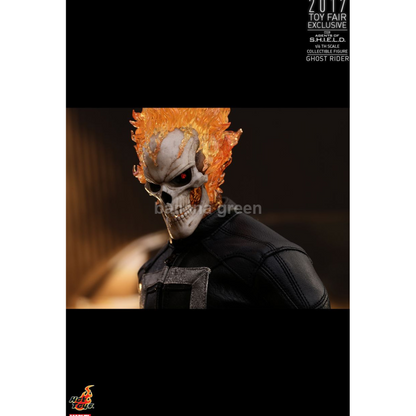 핫토이 Hottoys TMS005 에이전트 오브 쉴드 1/6 고스트라이더