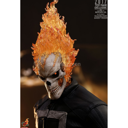 핫토이 Hottoys TMS005 에이전트 오브 쉴드 1/6 고스트라이더