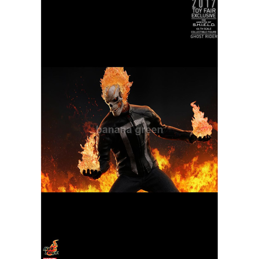 핫토이 Hottoys TMS005 에이전트 오브 쉴드 1/6 고스트라이더