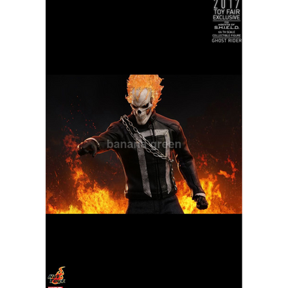 핫토이 Hottoys TMS005 에이전트 오브 쉴드 1/6 고스트라이더