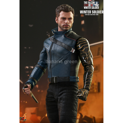 핫토이 Hottoys TMS039 팔콘과 윈터솔져 1/6 버키