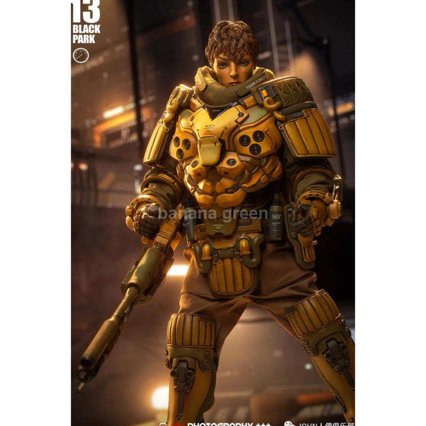 Black13Park B13 블랙13파크 중장특별전투부대 1/6 적호 호랑이