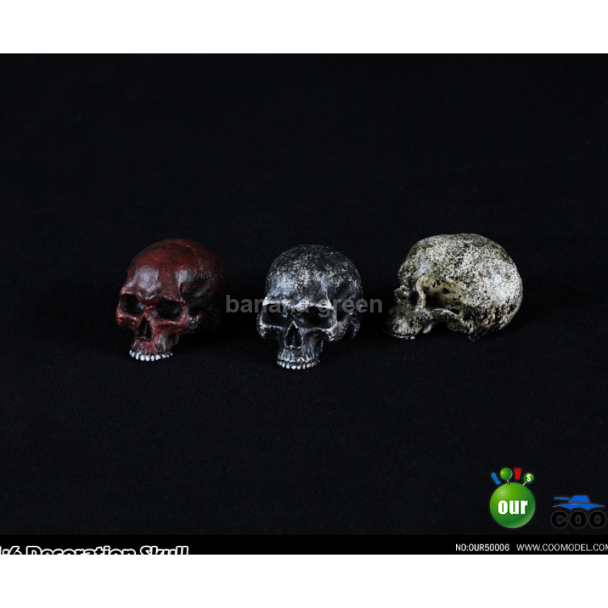 COOMODEL 쿠모델 OUR50006 1/6 해골 스켈레톤