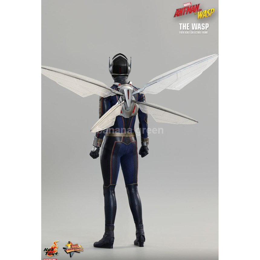 핫토이 HOTTOYS MMS498 앤트맨2 1/6 WASP 와스프