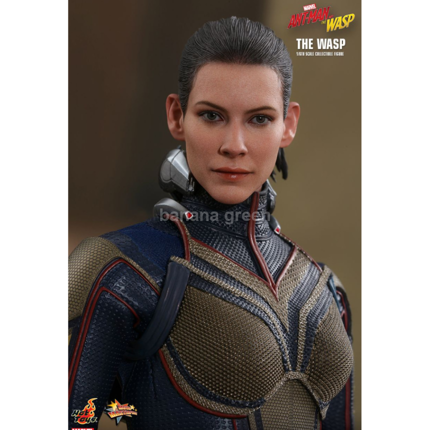 핫토이 HOTTOYS MMS498 앤트맨2 1/6 WASP 와스프