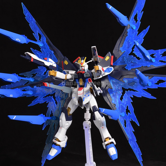 DDB HG CE 스트라이크 프리덤 건담 이펙트 파츠 / 추가 장비