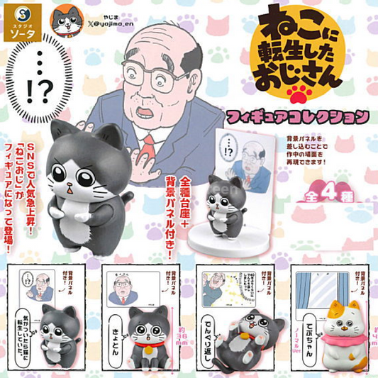 소타 SOTA 고양이로 환생한 아저씨 만화 피규어 컬렉션 미니어쳐 가챠 전 4종 풀컴프 세트