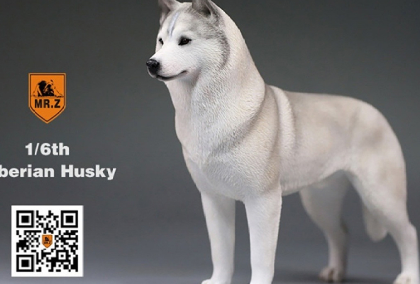 Mr.Z Siberian Husky 시베리안 허스키 강아지 피규어 1/6