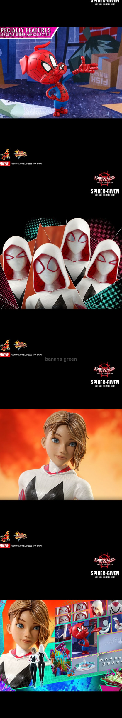 핫토이 1/6 스파이더맨 뉴 유니버스 스파이더 그웬 HOT TOYS MMS576 Spider Gwen