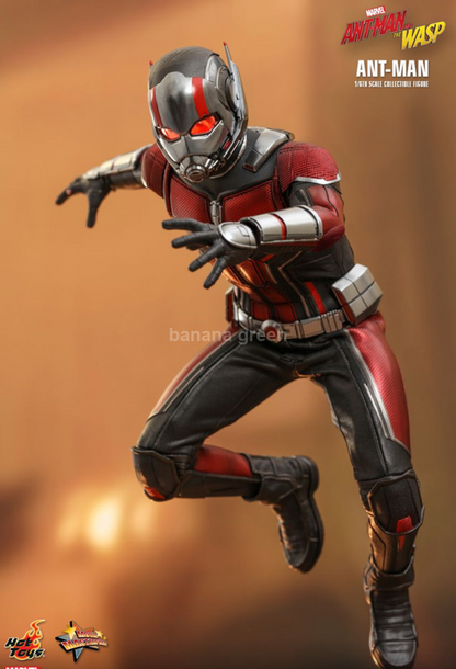 핫토이 1/6 와스프 WASP 앤트맨 피규어 HOTTOYS mms497