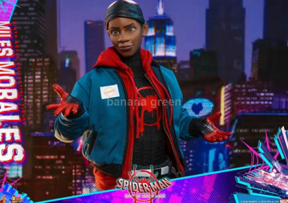 HOTTOYS MMS567 핫토이 스파이더맨 마일스 모랄레스 1/6 피규어