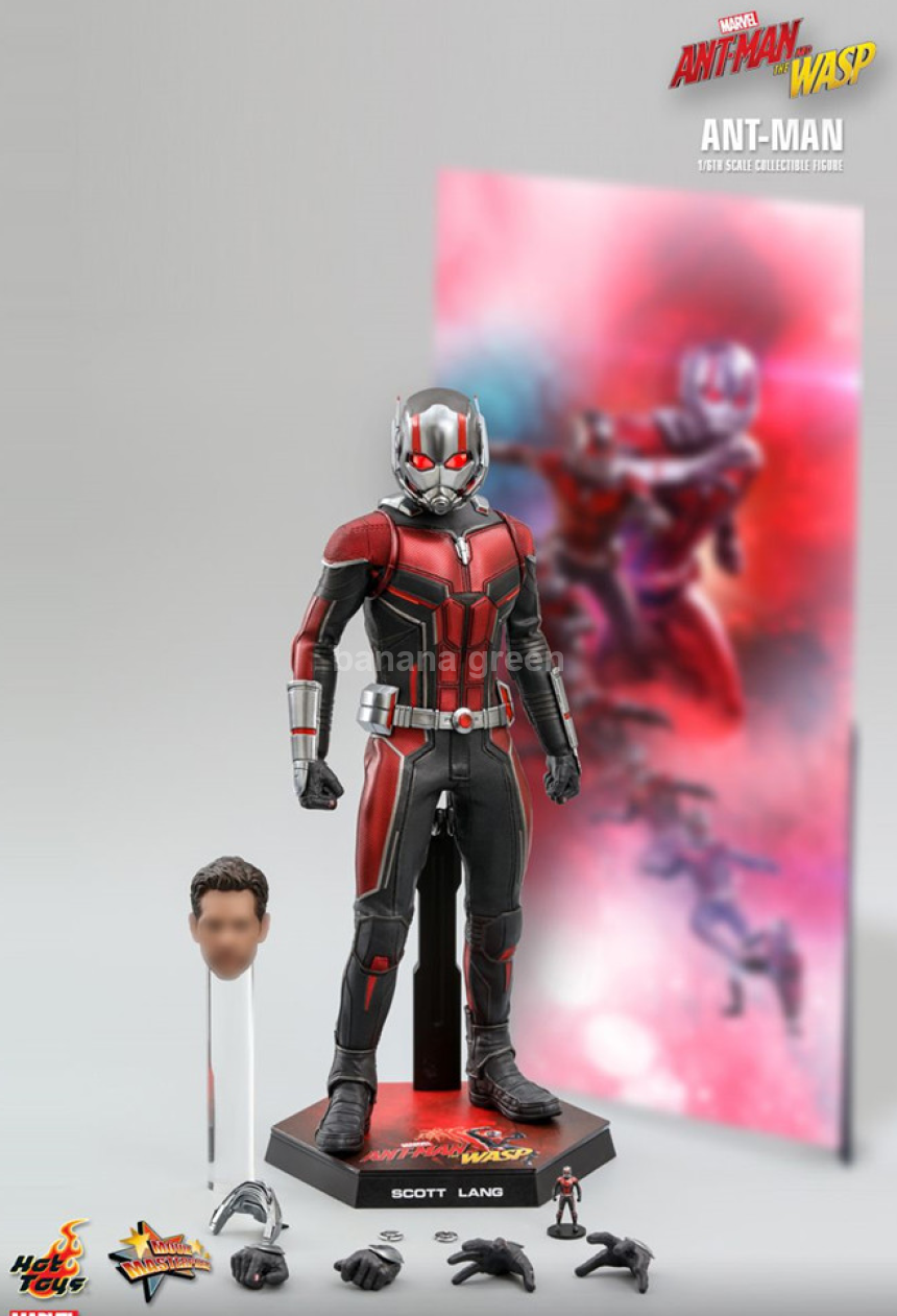 핫토이 1/6 와스프 WASP 앤트맨 피규어 HOTTOYS mms497