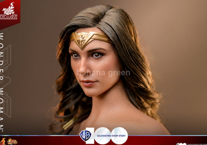 (출시완료) 핫토이 (Hot Toys) 1/6 스케일 MMS698 원더우먼