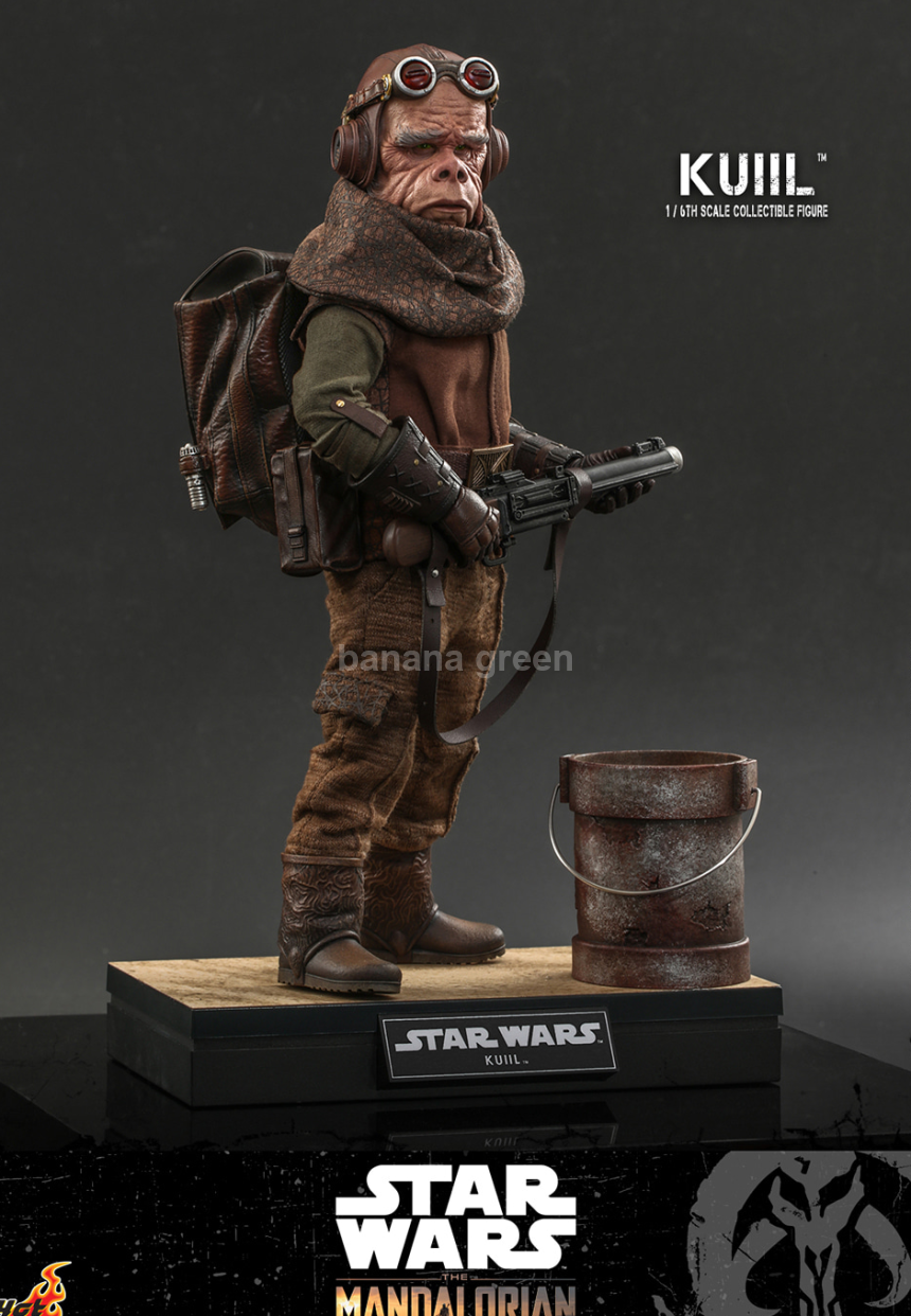 (출시완료) 핫토이 Hot toys TMS048 스타워즈 만달로리안 쿠일 1/6