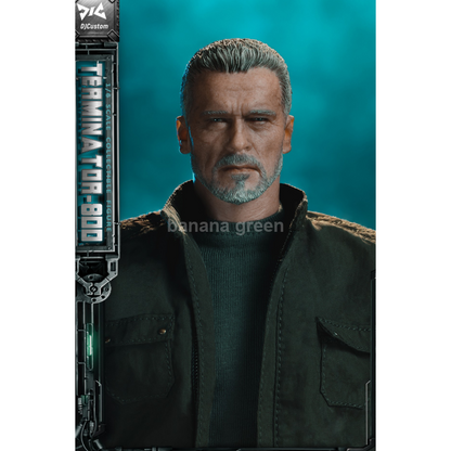 DJ-CUSTOM DJ커스텀 NO-16004 1/6 터미네이터 T800 다크페이트 피규어