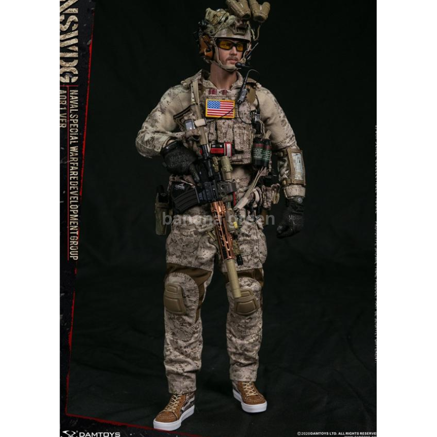 DAMTOYS 78065 댐토이 NSWDG AOR1 1/6 12인치