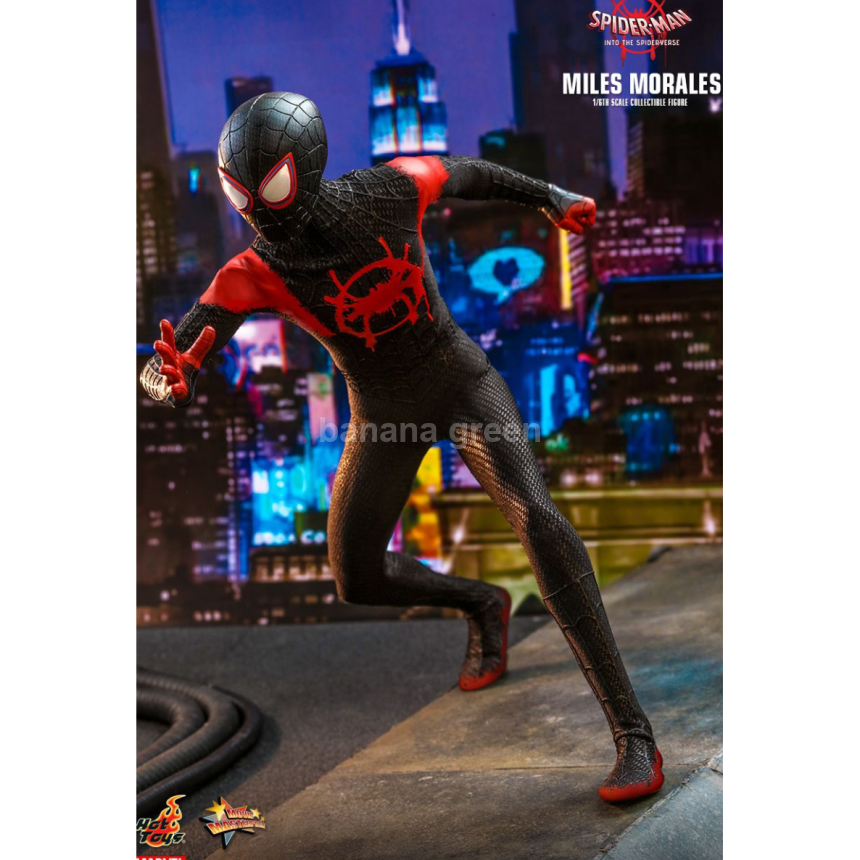 핫토이 HOTTOYS MMS567 스파이더맨 뉴유니버스 1/6 마일즈모랄레스