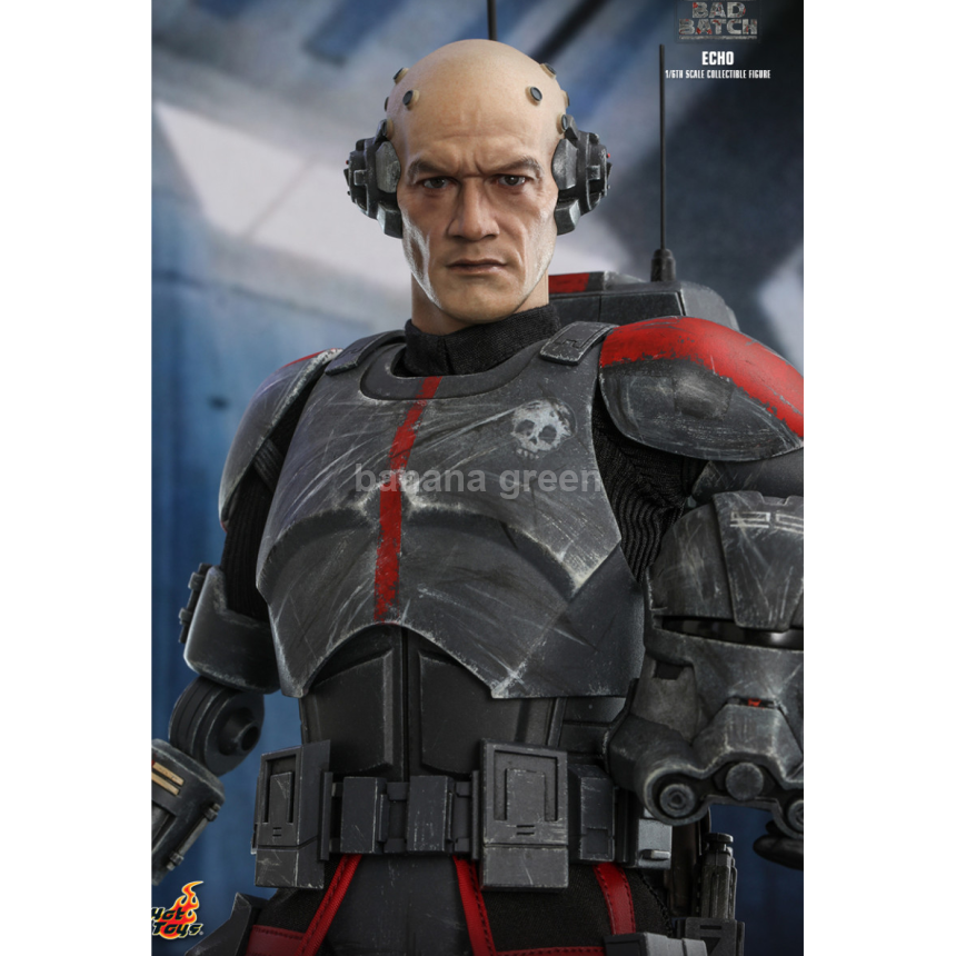 핫토이 Hottoys TMS042 스타워즈 배드배치 1/6 에코