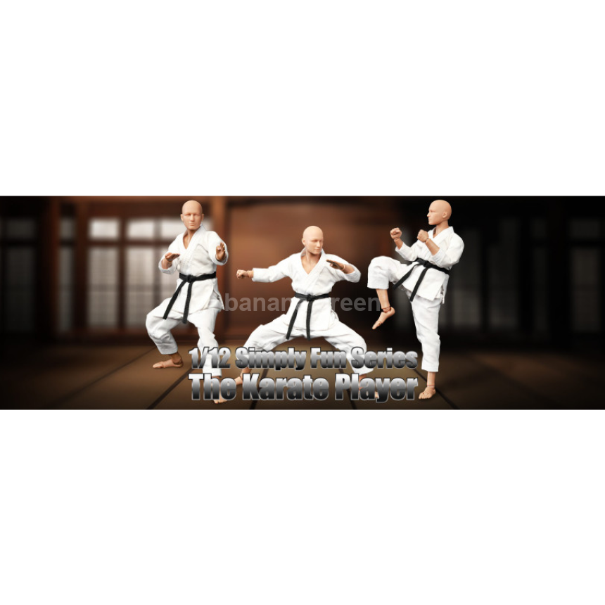 DID SF80001 Simply Fun 1/12 가라데 플레이어