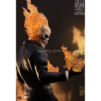 핫토이 Hottoys TMS005 에이전트 오브 쉴드 1/6 고스트라이더