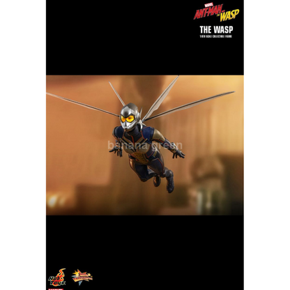 핫토이 HOTTOYS MMS498 앤트맨2 1/6 WASP 와스프