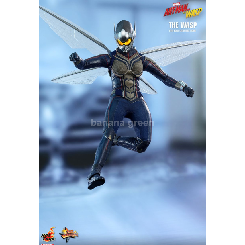 핫토이 HOTTOYS MMS498 앤트맨2 1/6 WASP 와스프