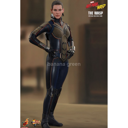 핫토이 HOTTOYS MMS498 앤트맨2 1/6 WASP 와스프