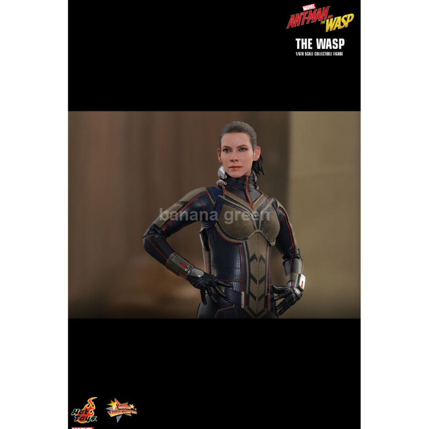 핫토이 HOTTOYS MMS498 앤트맨2 1/6 WASP 와스프