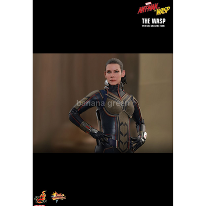 핫토이 HOTTOYS MMS498 앤트맨2 1/6 WASP 와스프