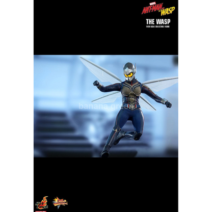 핫토이 HOTTOYS MMS498 앤트맨2 1/6 WASP 와스프