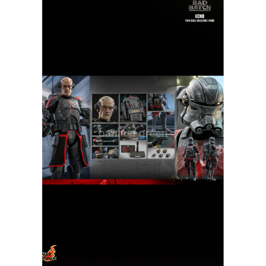 핫토이 Hottoys TMS042 스타워즈 배드배치 1/6 에코