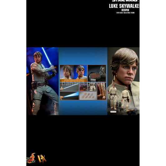 핫토이 Hottoys DX24 스타워즈 1/6 루크 스카이워커 BESPIN