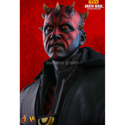 핫토이 HOTTOYS DX18 한솔로 스타워즈 스토리 1/6 다스몰