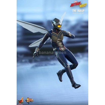 핫토이 HOTTOYS MMS498 앤트맨2 1/6 WASP 와스프