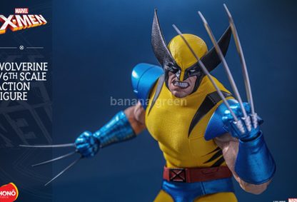 Hono Studio HS01 울버린- 엑스맨 X-Men 1/6 피규어