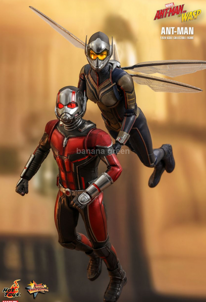 핫토이 1/6 와스프 WASP 앤트맨 피규어 HOTTOYS mms497