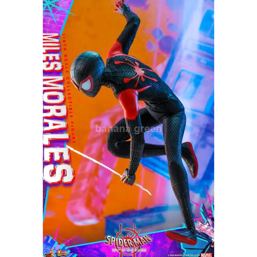 HOTTOYS MMS567 핫토이 스파이더맨 뉴 유니버스 마일즈 모랄레스 피규어 1/6