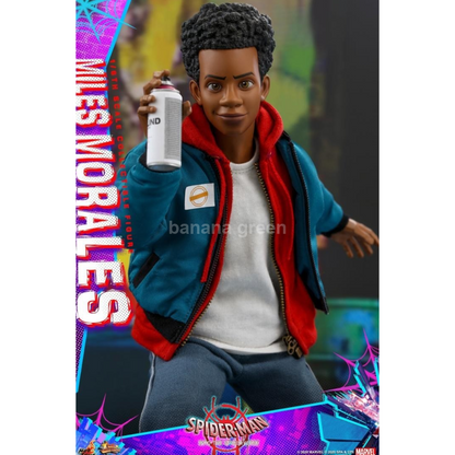 HOTTOYS MMS567 핫토이 스파이더맨 뉴 유니버스 마일즈 모랄레스 피규어 1/6