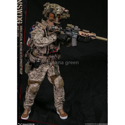 DAMTOYS 78065 댐토이 NSWDG AOR1 1/6 12인치