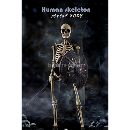 COOMODEL NOBS011 쿠모델 휴먼 스켈톤 합금 바디 피규어 1/6