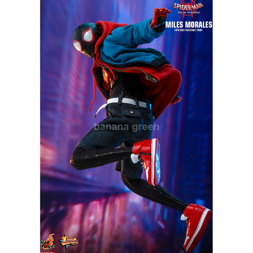 핫토이 HOTTOYS MMS567 스파이더맨 뉴유니버스 1/6 마일즈모랄레스