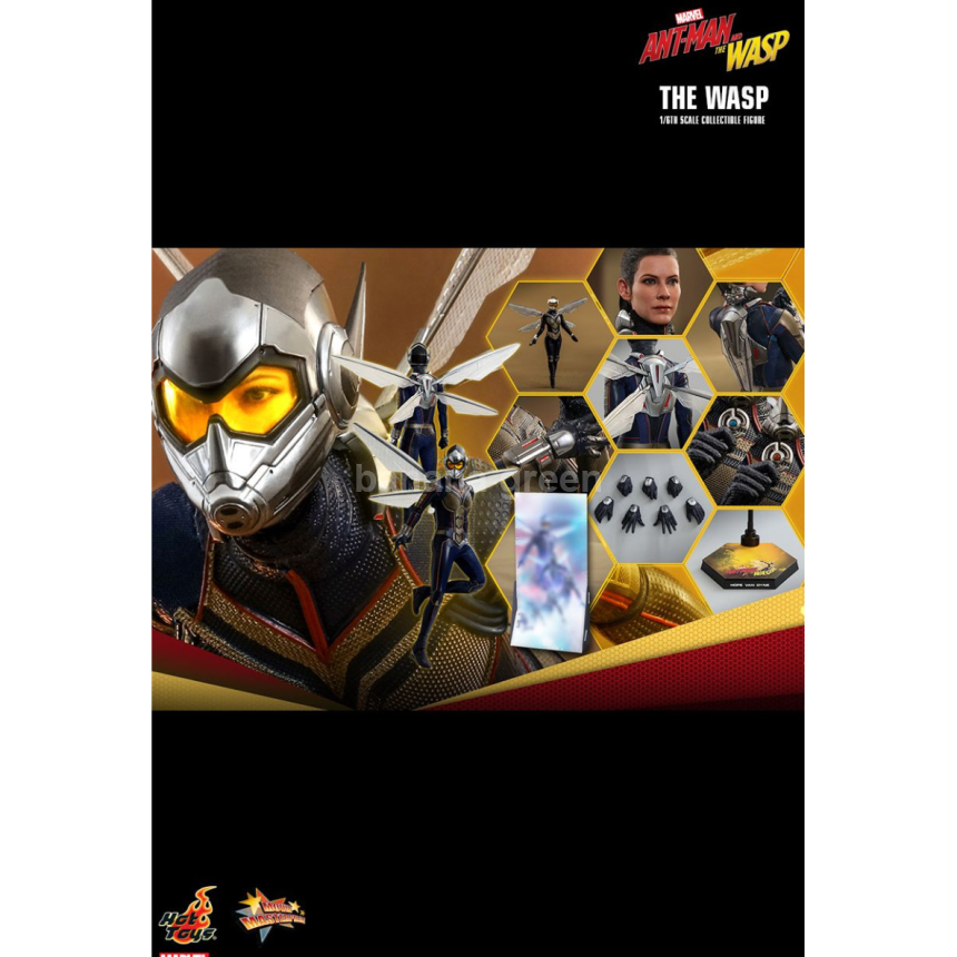 핫토이 HOTTOYS MMS498 앤트맨2 1/6 WASP 와스프