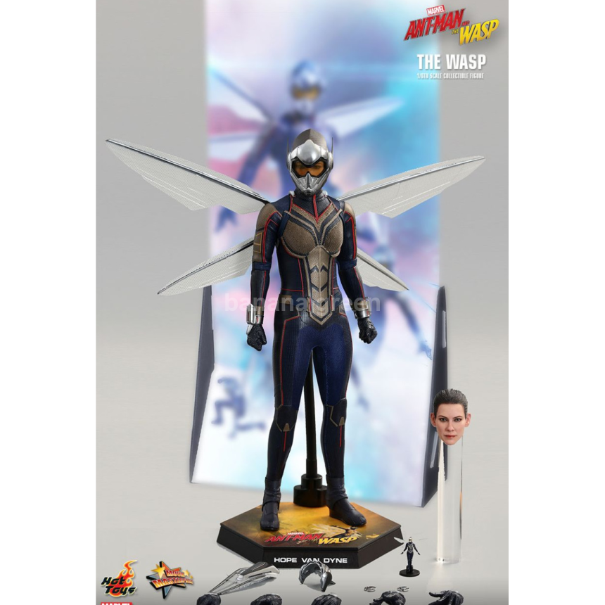 핫토이 HOTTOYS MMS498 앤트맨2 1/6 WASP 와스프