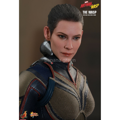 핫토이 HOTTOYS MMS498 앤트맨2 1/6 WASP 와스프